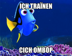 Dory from Nemo  (5 second memory)