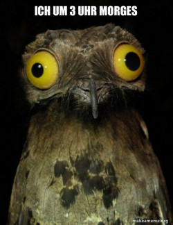 Weird Stuff I do Potoo