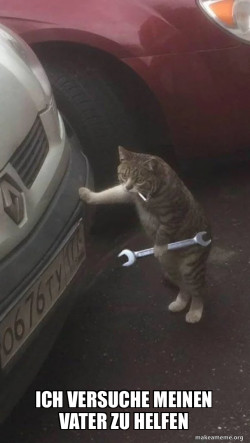 Mechanic Cat