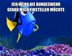 Dory from Nemo  (5 second memory)