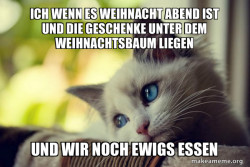 First World Cat Problems
