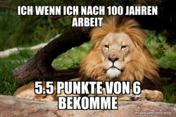 Contemplative Lion