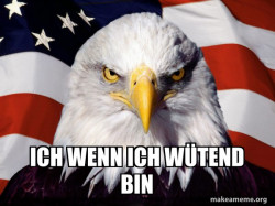 American Pride Eagle