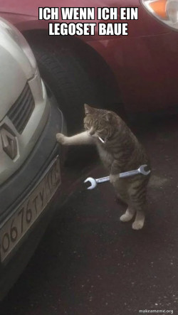 Mechanic Cat