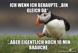 Unpopular Opinion Puffin