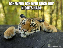 Confession Tiger