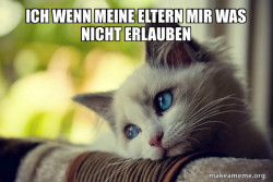 First World Cat Problems