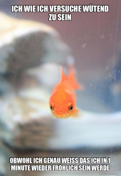 Grumpy Fish