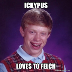 Bad Luck Brian