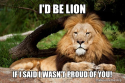 Contemplative Lion