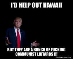 Trump Everything is FIne
