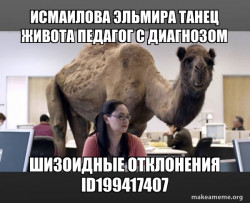 Hump Day Camel