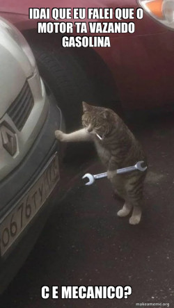 Mechanic Cat