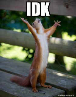 Happy Squirrel
