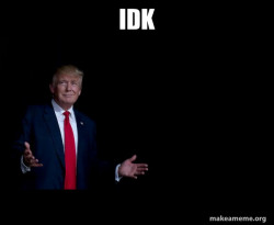 Trump Everything is FIne
