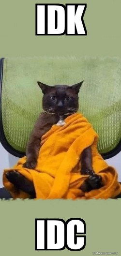Zen Cat