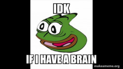 NO BRAIN