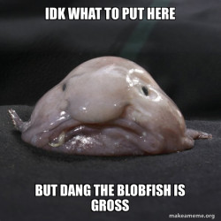Blobfish meme
