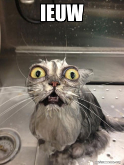Cat bath