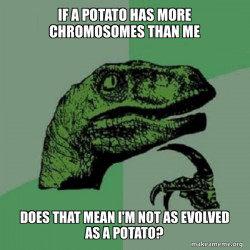 Philosoraptor