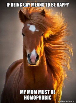 Ridiculously photogenic horse