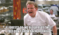 Gordon Ramsay Hell's Kitchen