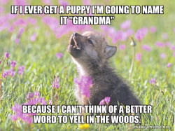 Baby Insanity Wolf