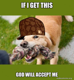 Scumbag dog