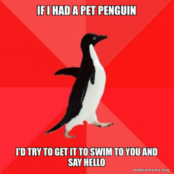 Socially Awesome Penguin