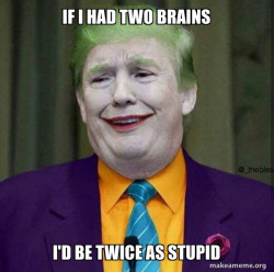 Donald Trump - The Joker