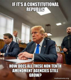 Trump Court Room