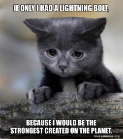 Confession Cat