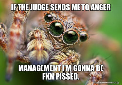 Hipster Spider