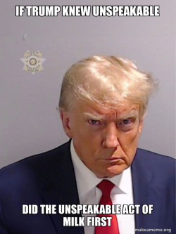 Donald Trump Mugshot