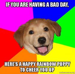 Advice Dog