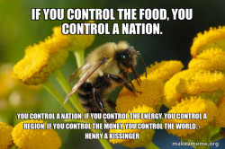 Good Guy Bee