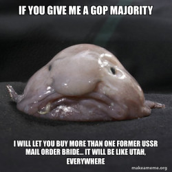 Blobfish
