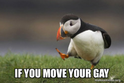 Unpopular Opinion Puffin