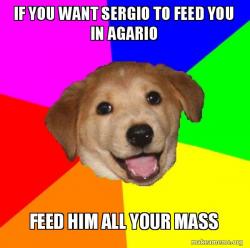Advice Dog