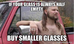 Almost Politically Correct Redneck