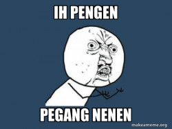 Y U No