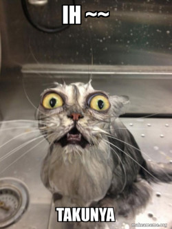 Cat bath