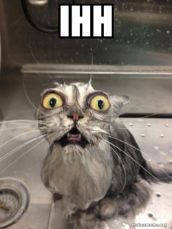Cat bath