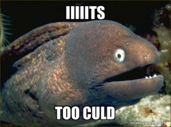 Bad Joke Eel