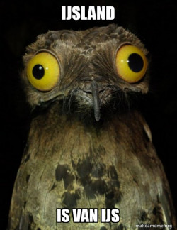 Weird Stuff I do Potoo