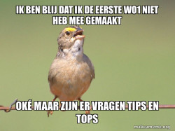 Common Opinion Sparrow