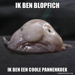 Blobfish