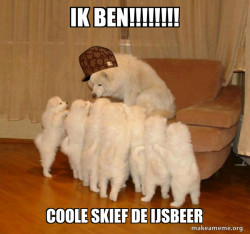 Scumbag Storytelling Dog