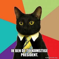 Business Cat