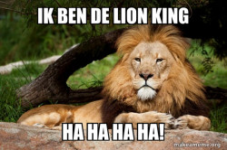 Contemplative Lion